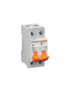 Roker Rxt0210  Termica Din Bip  10a. 2